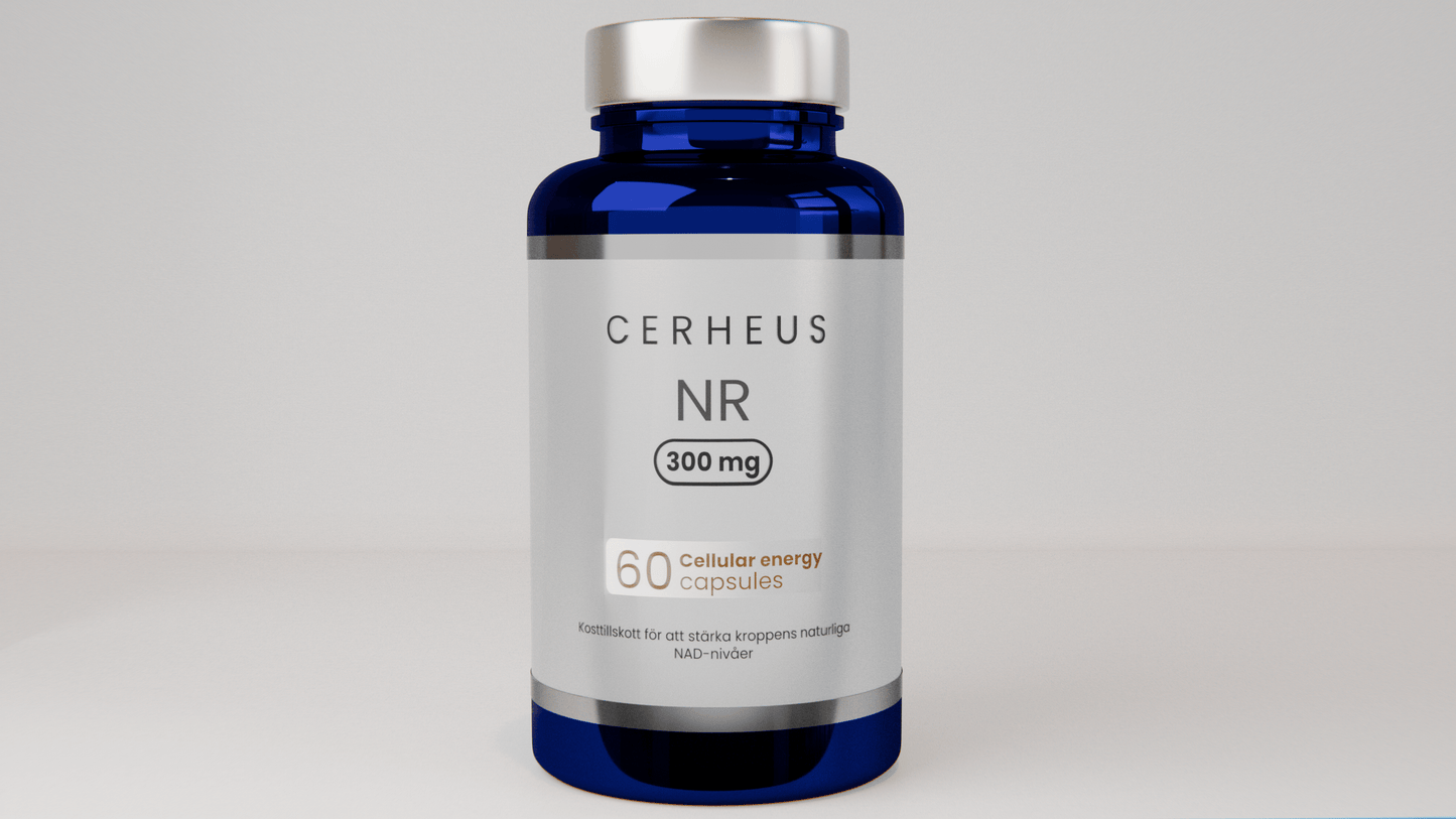 Cerheus NAD+ Supplement 60 capsules - NO