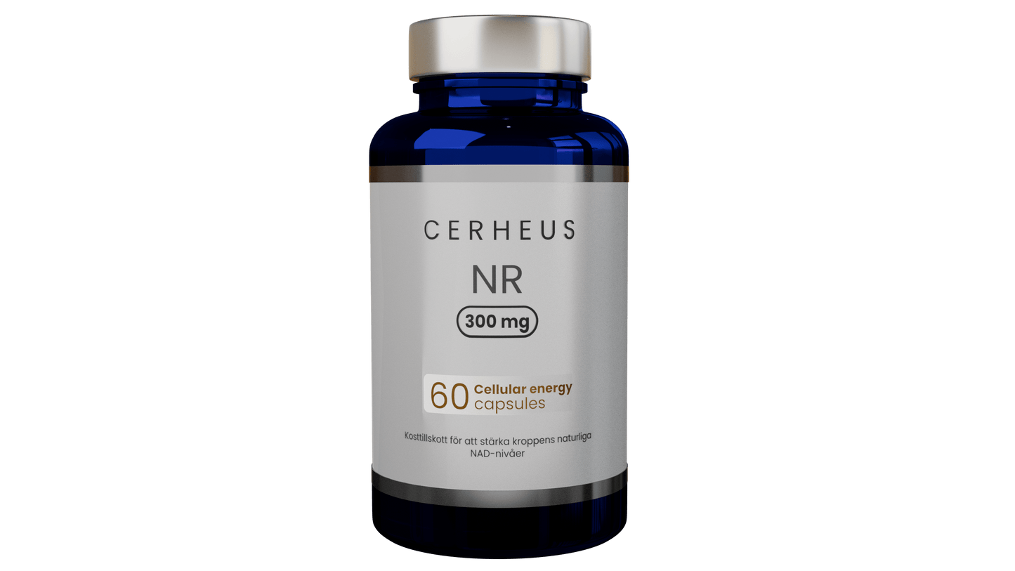 Cerheus NAD+ Supplement 60 capsules - NO